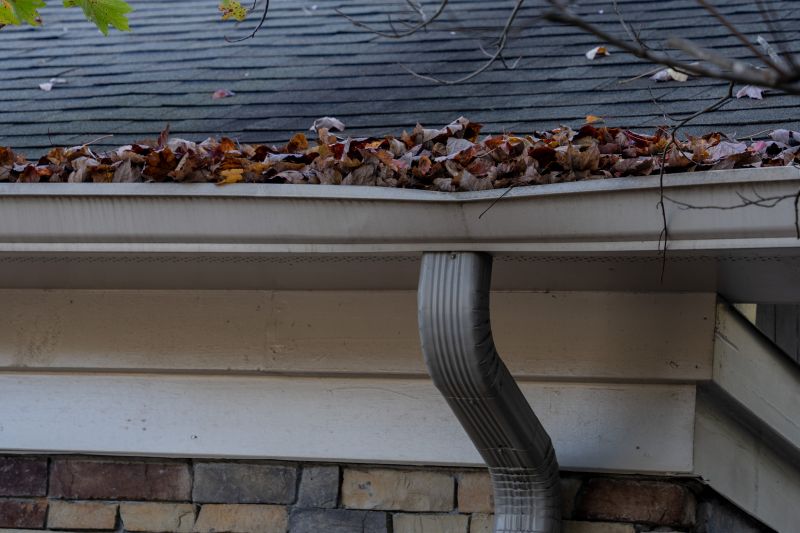 Gutter and Roof Edge Repair