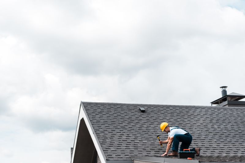 Local Roofing Specialists